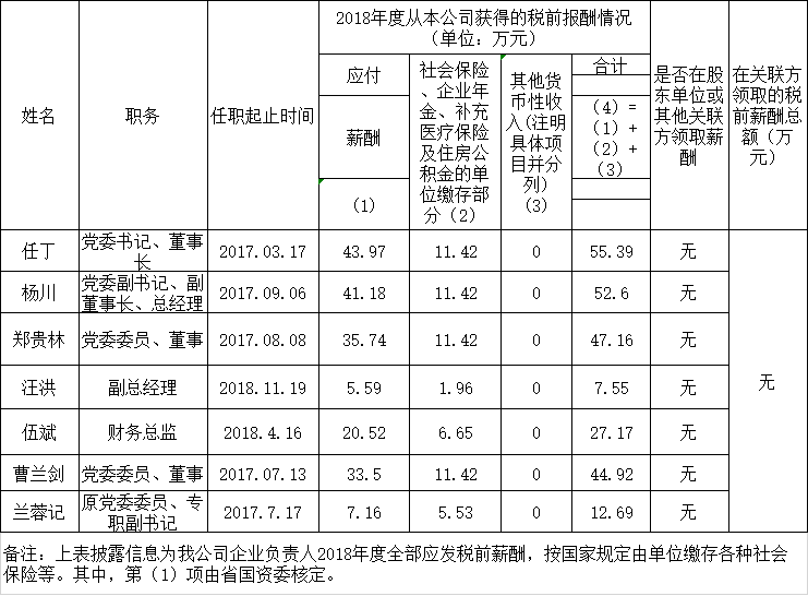 尊龙凯时人生就是搏认真人2018年度薪酬情形