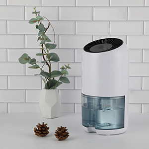 Ǯ��qg777(�й���)Ψһ�ٷ���վ